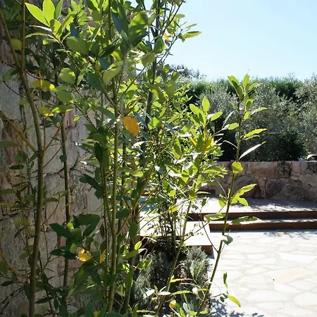 Σπίτι διακοπών Luxurioese Schaeferei 2km Vom Von Santa Giulia Entfernt By Interhome Πόρτο Βέκιο
