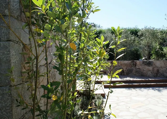 Vakantiehuis Luxurioese Schaeferei 2km Vom Von Santa Giulia Entfernt By Interhome Porto-Vecchio (Corsica)